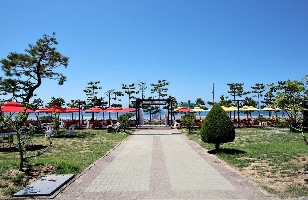 Hotel Mallipo Таеан Екстериор снимка